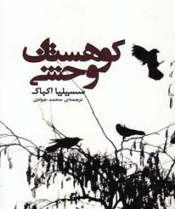 کتاب کوهستان وحشی | انتشارات کتابسرای تندیس