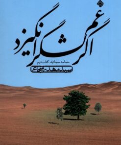 کتاب اگر غم لشگر انگیزد | انتشارات نیستان
