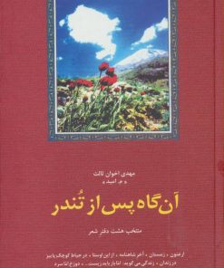 کتاب آنگاه پس از تندر | انتشارات سخن