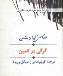 کتاب گرگی در کمین | انتشارات سخن