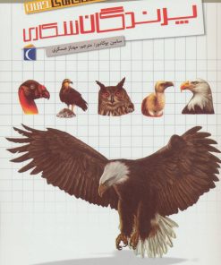 کتاب پرندگان شکاری | انتشارات محراب قلم