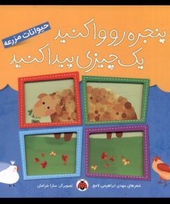 کتاب پنجره رو وا کنید یه چیزی پیدا کنید | انتشارات شهر قلم