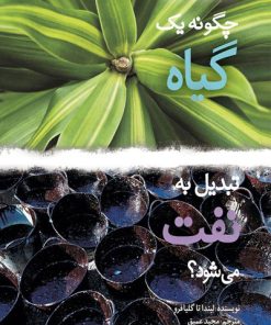 کتاب چگونه یک گیاه تبدیل به نفت می شود؟ | انتشارات کانون پرورش فکری کودکان و نوجوانان
