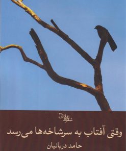 کتاب وقتی آفتاب به سر شاخه ها می رسد | انتشارات سیب سرخ