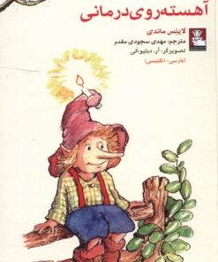 کتاب آهسته روی درمانی (دو زبانه) | انتشارات مهراندیش