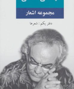 کتاب مجموعه اشعار سید علی صالحی | انتشارات نگاه