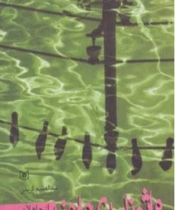 کتاب واژه نامه ی وارونه | انتشارات قدیانی