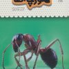کتاب یک فنجان دانستنی درباره ی مورچه ها | انتشارات نوشته
