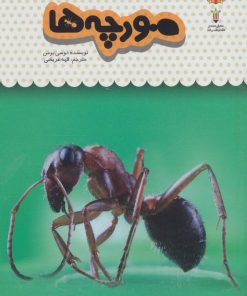 کتاب یک فنجان دانستنی درباره ی مورچه ها | انتشارات نوشته