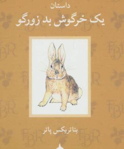 کتاب داستان یک خرگوش بد زورگو | انتشارات ماهی