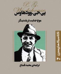 کتاب موج جنایت در بلندینگز | انتشارات قدیانی