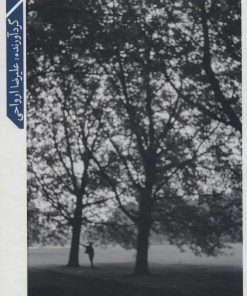 کتاب کامران شیردل، تنها در قاب | انتشارات خوب