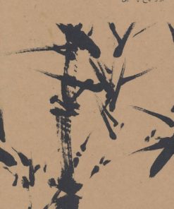 کتاب هایکوی کلاسیک | انتشارات دیبایه