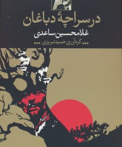 کتاب در سراچه دباغان | انتشارات نگاه