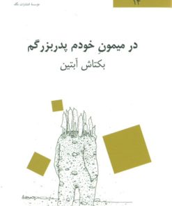 کتاب در میمون خودم پدربزرگم | انتشارات نگاه