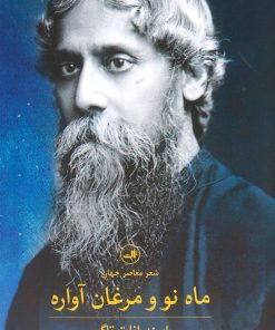 کتاب ماه نو و مرغان آواره | انتشارات نشر ثالث