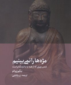 کتاب مژه ها را نمی بینیم | انتشارات دیبایه