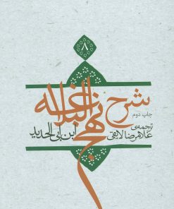 کتاب شرح نهج البلاغه 8 (زرکوب) | انتشارات نیستان