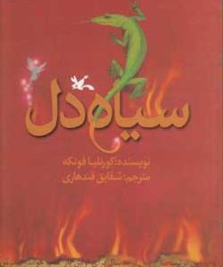 کتاب سیاه دل | انتشارات کانون پرورش فکری کودکان و نوجوانان