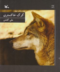 کتاب گرگ خاکستری | انتشارات کانون پرورش فکری کودکان و نوجوانان