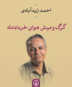 کتاب گرگ و میش هوای خردادماه | انتشارات نشر نی