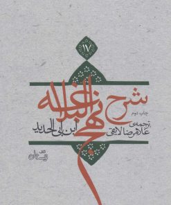 کتاب شرح نهج البلاغه 17 (زرکوب) | انتشارات نیستان