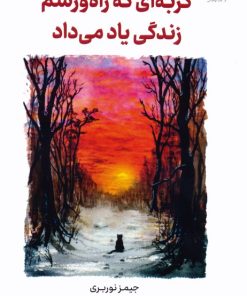 کتاب گربه ای که راه و رسم زندگی یاد می داد | انتشارات کتاب کوله پشتی