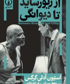 کتاب از ریورساید تا دیوانگی | انتشارات نشر نی