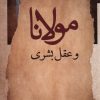 کتاب مولانا و عقل بشری | انتشارات نگاه معاصر