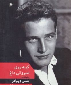 کتاب گربه روی شیروانی داغ | انتشارات مروارید