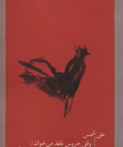 کتاب وقتی خروس غلط می خواند | انتشارات نیماژ