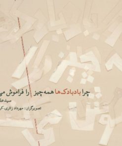 کتاب چرا بادبادک ها همه چیز را فراموش می کنند؟! | انتشارات نیستان