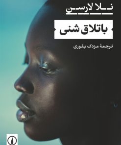 کتاب باتلاق شنی | انتشارات نشر نی