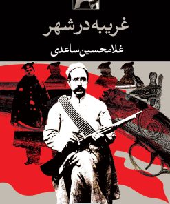 کتاب غریبه در شهر | انتشارات نگاه