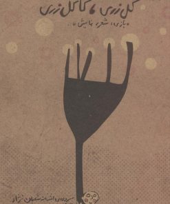 کتاب گل زری،کاکل زری | انتشارات کانون پرورش فکری کودکان و نوجوانان