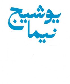 کتاب مجموعه اشعار نیما یوشیج (دوره ی باران) | انتشارات نگاه