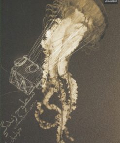 کتاب سطوح زندگی | انتشارات میلکان