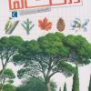 کتاب درخت ها | انتشارات محراب قلم