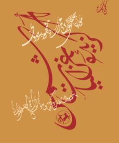 کتاب گزیده غزلیات شمس | انتشارات امیرکبیر