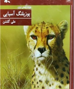 کتاب یوزپلنگ آسیایی (شومیز) | انتشارات کانون پرورش فکری کودکان و نوجوانان