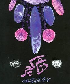 کتاب دریم کچر | انتشارات حوض نقره