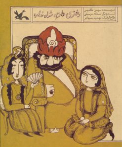 کتاب دختری دارم شاه نداره (نابینایان) | انتشارات کانون پرورش فکری کودکان و نوجوانان