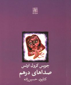 کتاب صداهای درهم | انتشارات نیلا