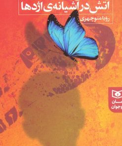 کتاب آتش در آشیانه اژدها | انتشارات قدیانی