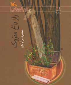 کتاب راز باغ متروک | انتشارات کانون پرورش فکری کودکان و نوجوانان