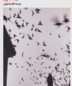 کتاب داستان لوسی گولت | انتشارات بیدگل