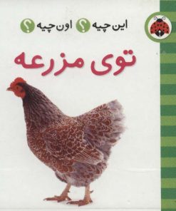 کتاب توی مزرعه | انتشارات شهر قلم