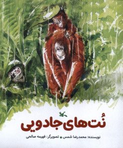 کتاب نت‌های جادویی | انتشارات کانون پرورش فکری کودکان و نوجوانان