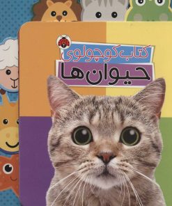 کتاب کتاب کوچولوی حیوان ها | انتشارات شهر قلم
