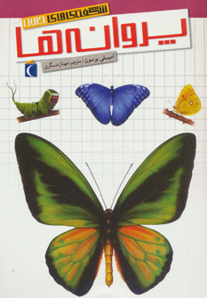 کتاب پروانه ها | انتشارات محراب قلم